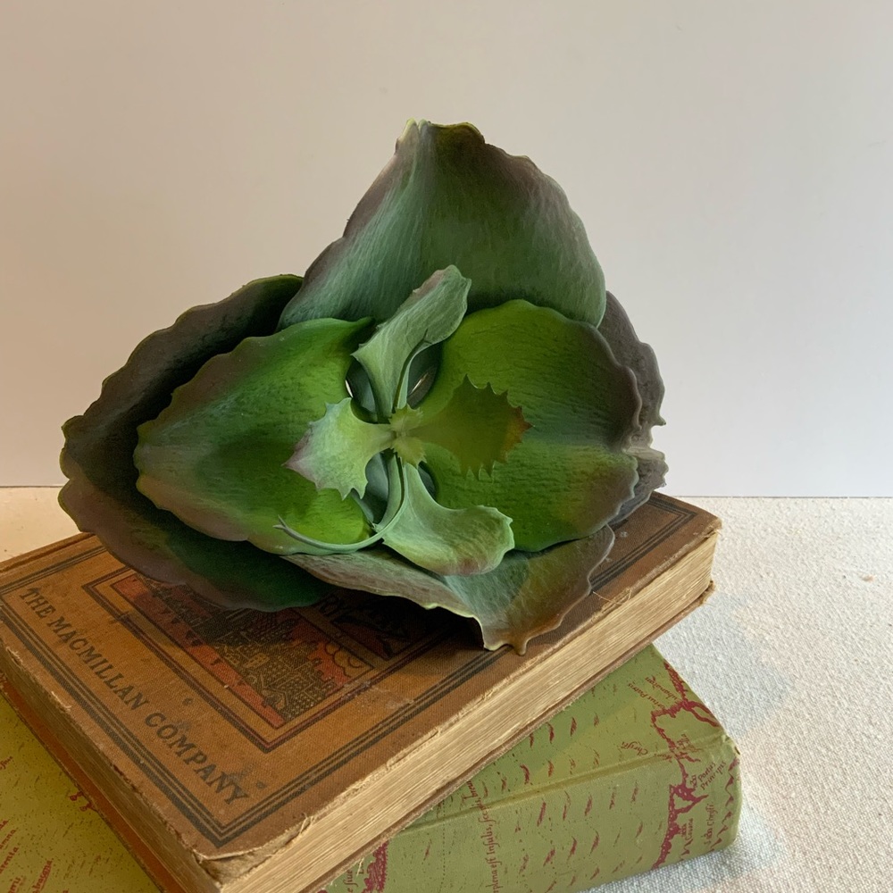 XL Faux Succulent